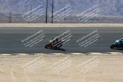 media/May-14-2022-SoCal Trackdays (Sat) [[7b6169074d]]/Turn 12 Backside (1135am)/